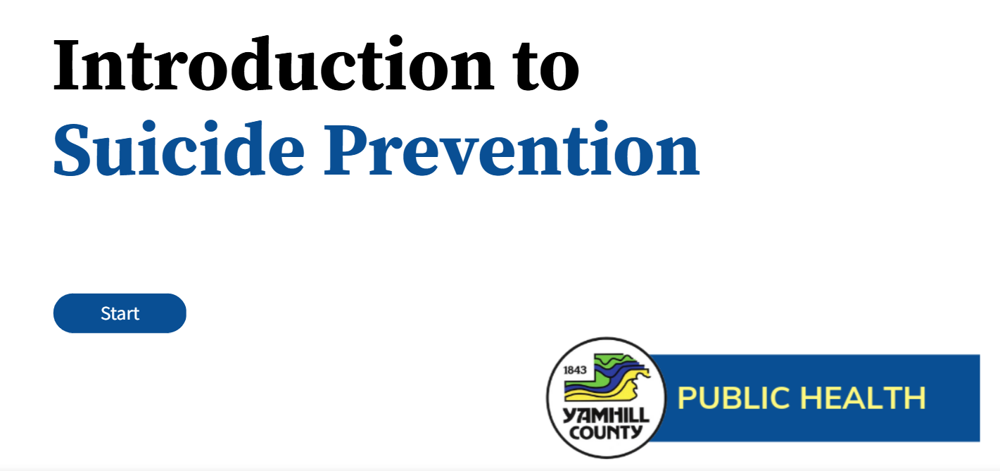 virtual course screenshot